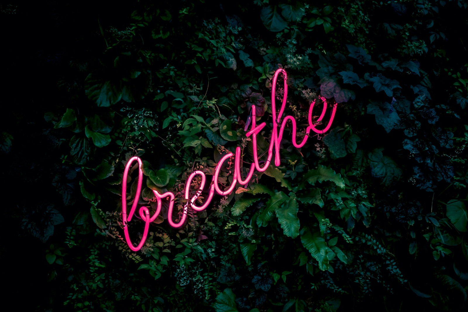 Mindfulness Made Easy (No Crystals Required)